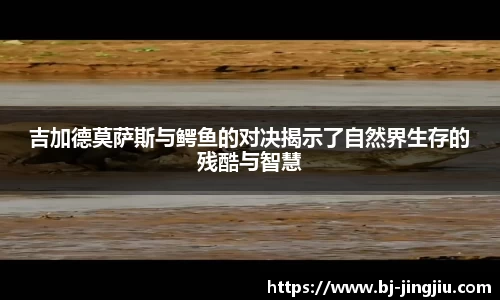 吉加德莫萨斯与鳄鱼的对决揭示了自然界生存的残酷与智慧